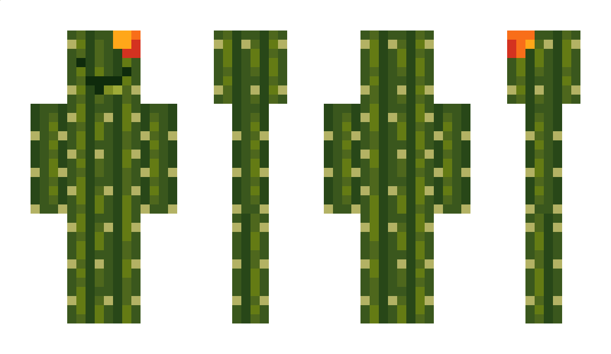 Cactus_bro Minecraft Skin