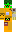 XD_CAT Minecraft Skin