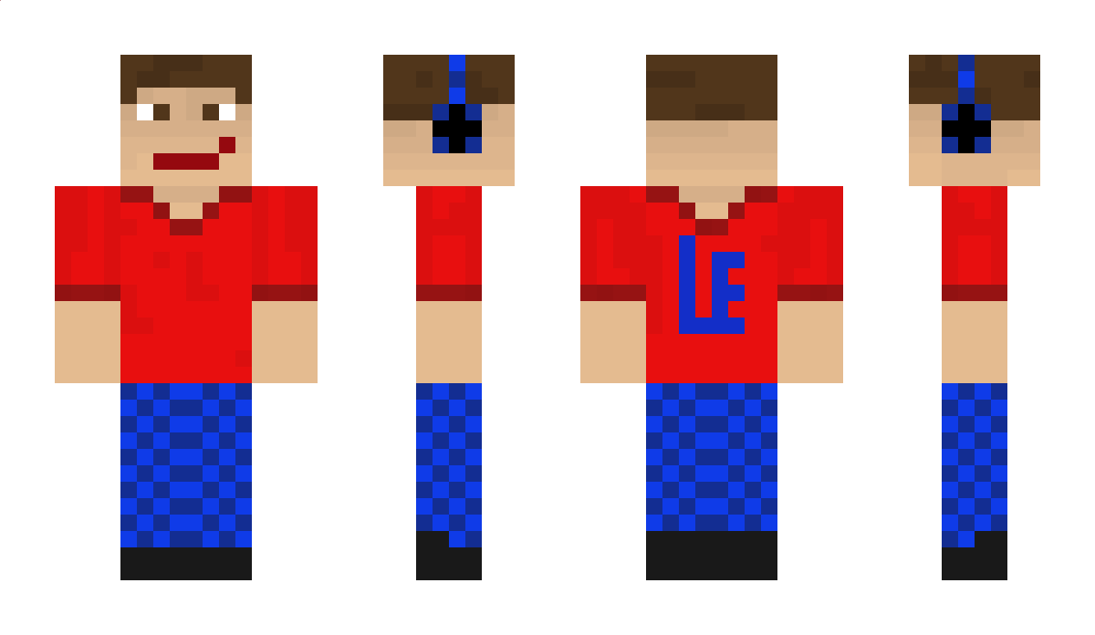 Leekle Minecraft Skin