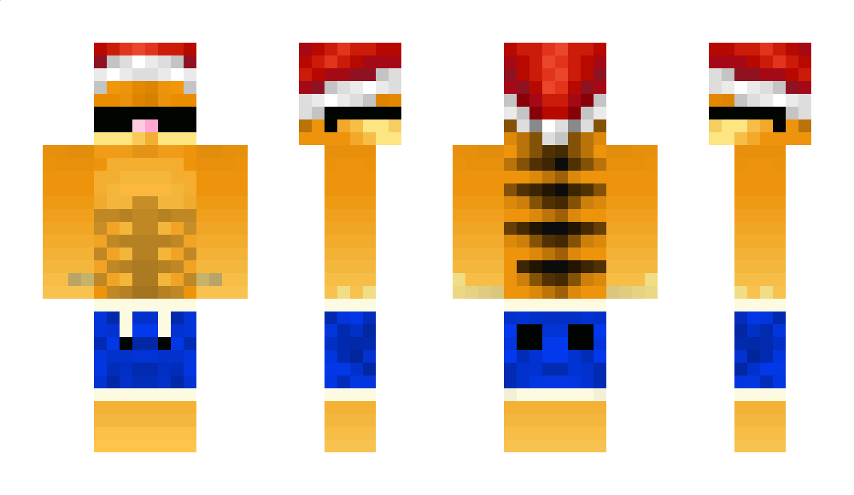 sstool Minecraft Skin