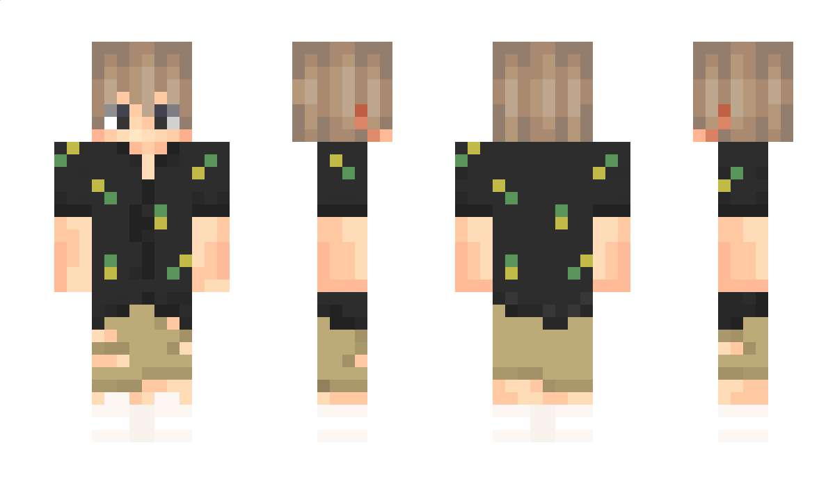 Sebexan Minecraft Skin