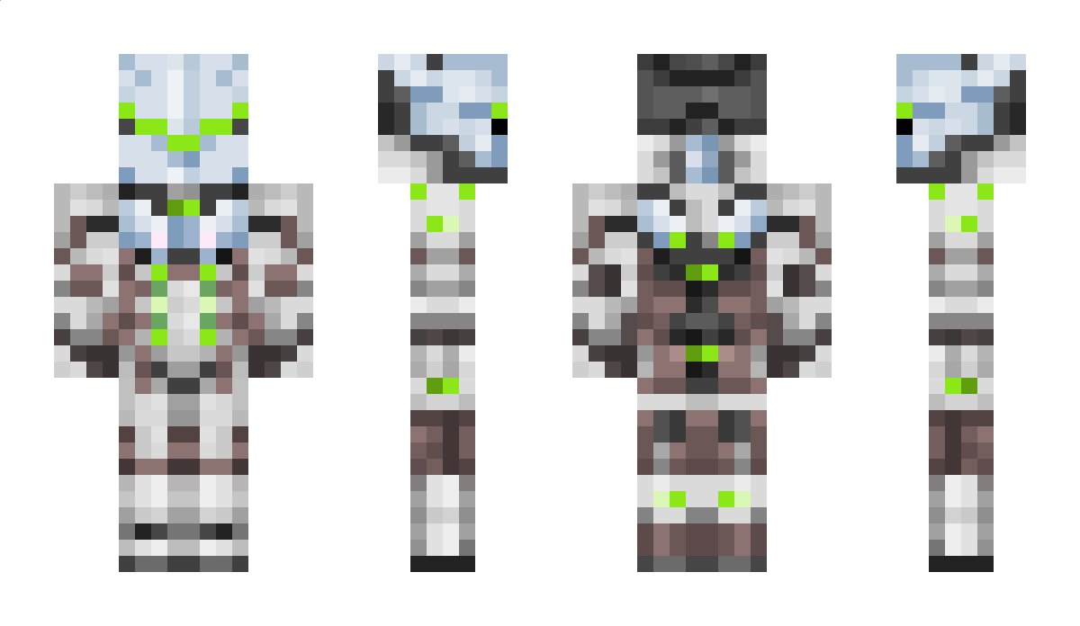 vison1 Minecraft Skin