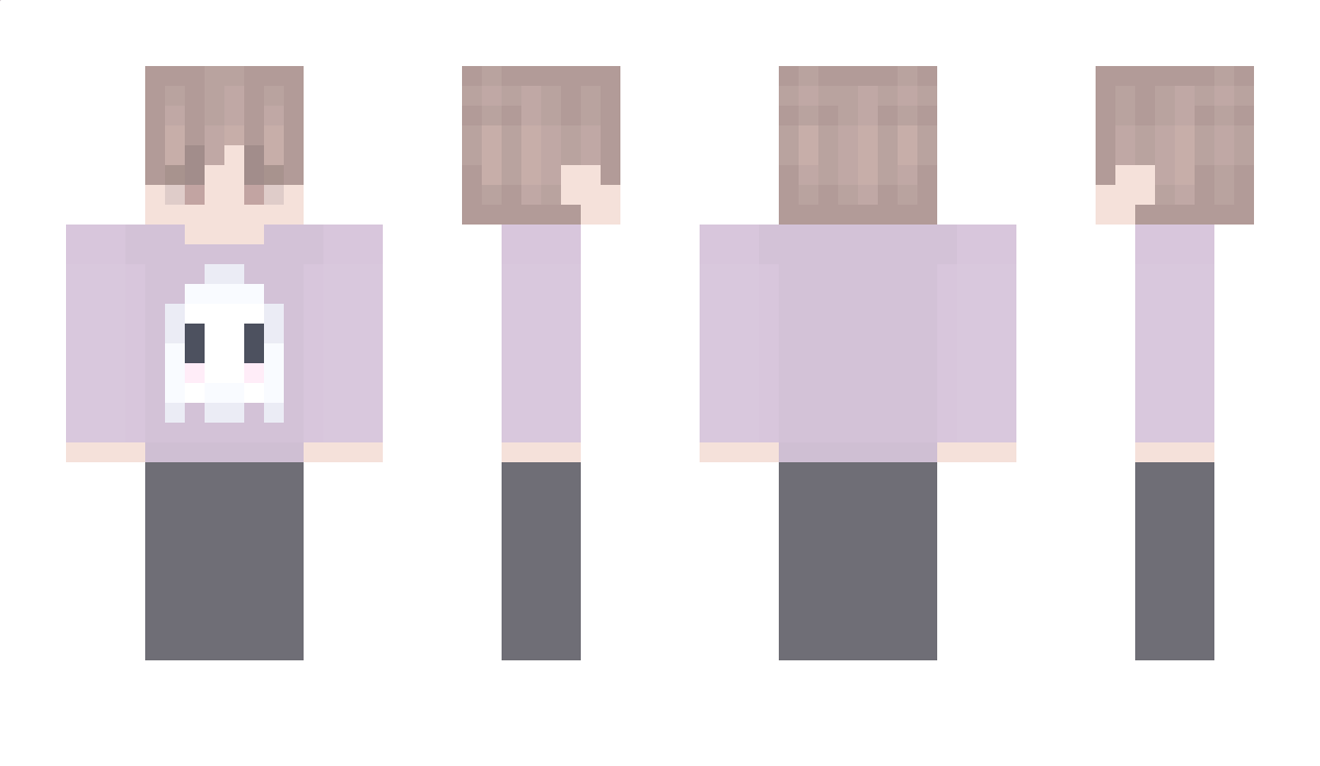 Busy Minecraft Skin