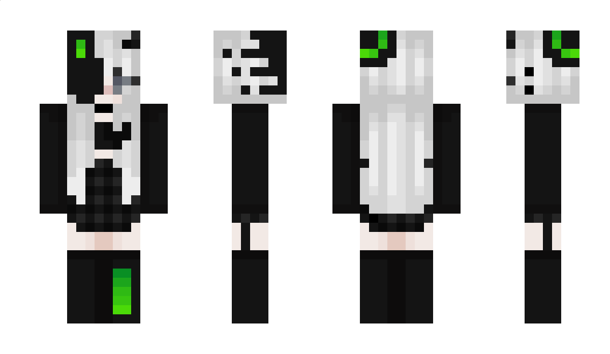 catdragon Minecraft Skin