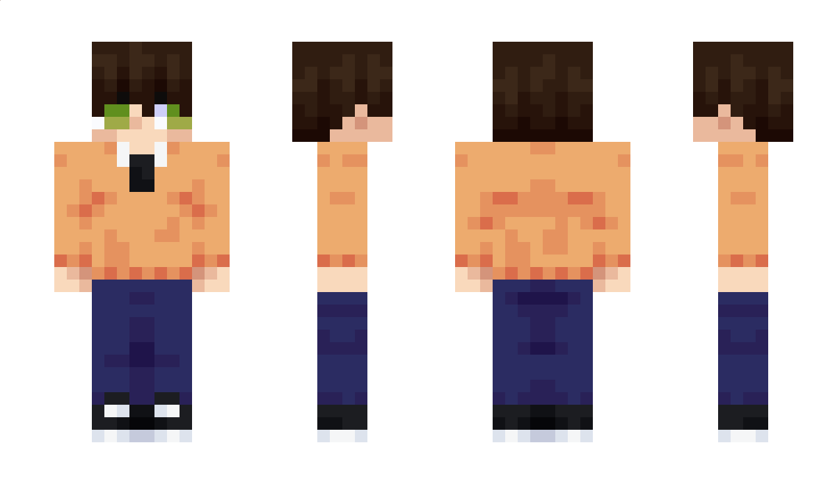 NitDdes Minecraft Skin