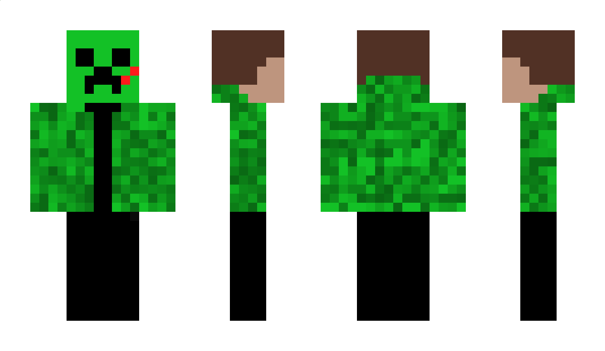 the_destroyer29 Minecraft Skin