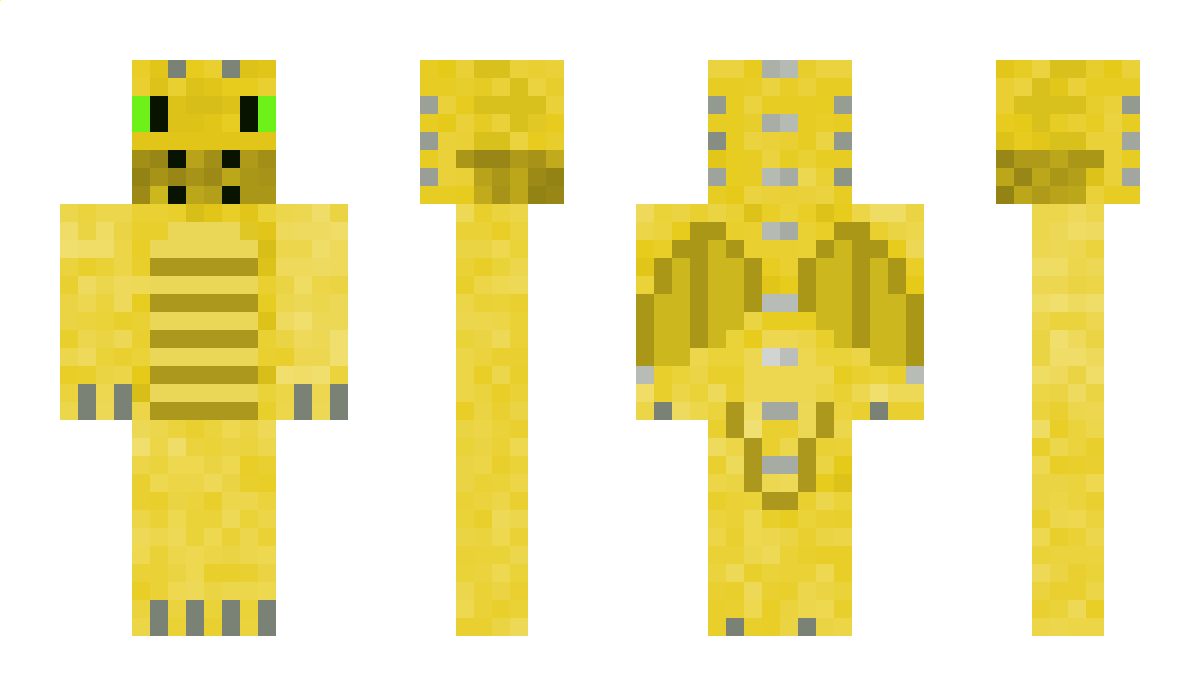 Little_Dragon000 Minecraft Skin