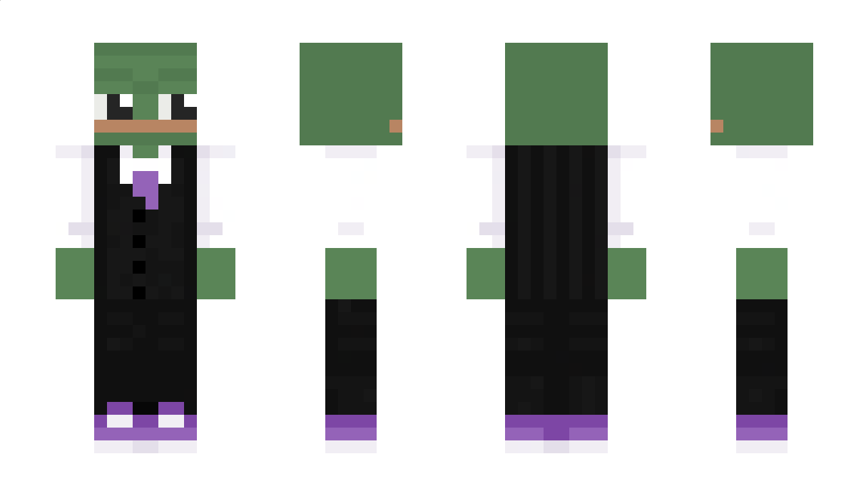 Timttz Minecraft Skin