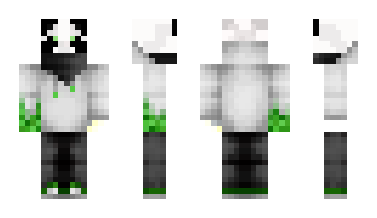 CreeperFarts Minecraft Skin