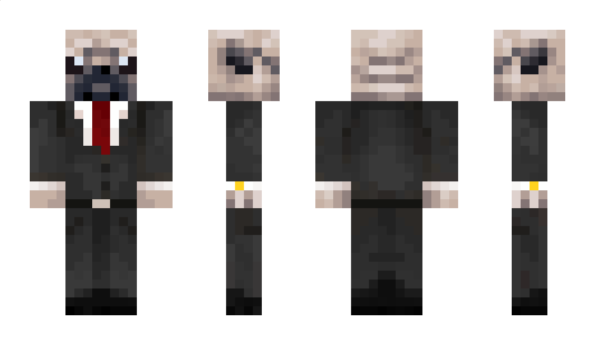 Dividedrobin71 Minecraft Skin