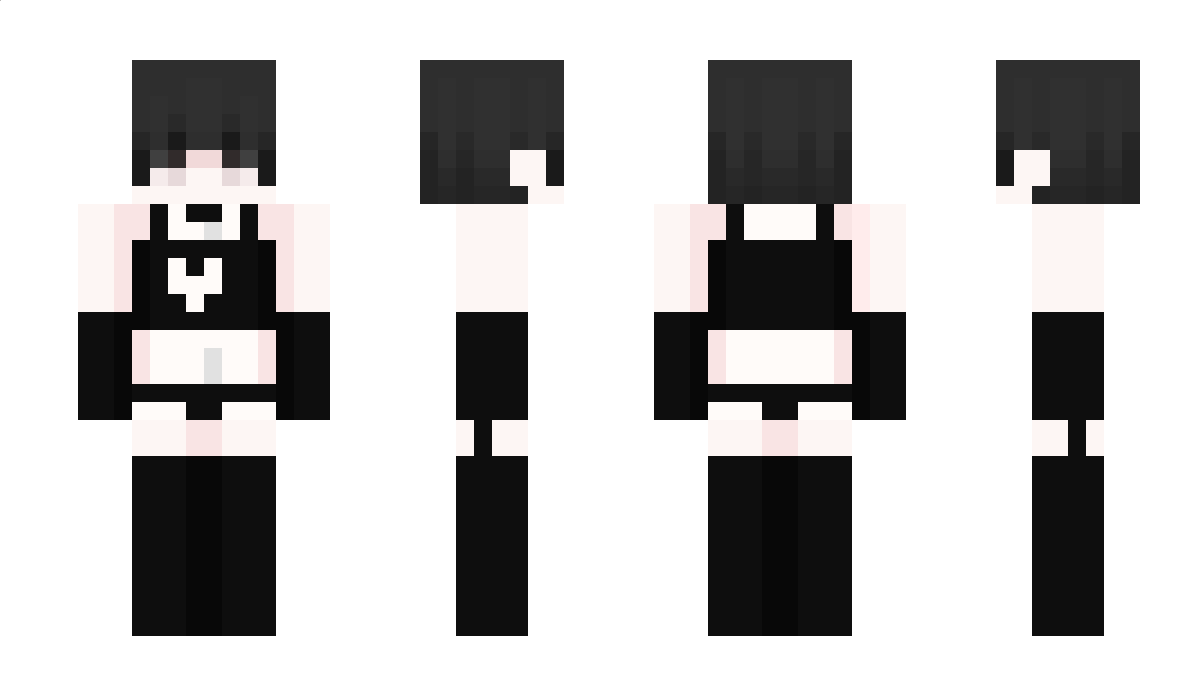 AssassinCreed Minecraft Skin