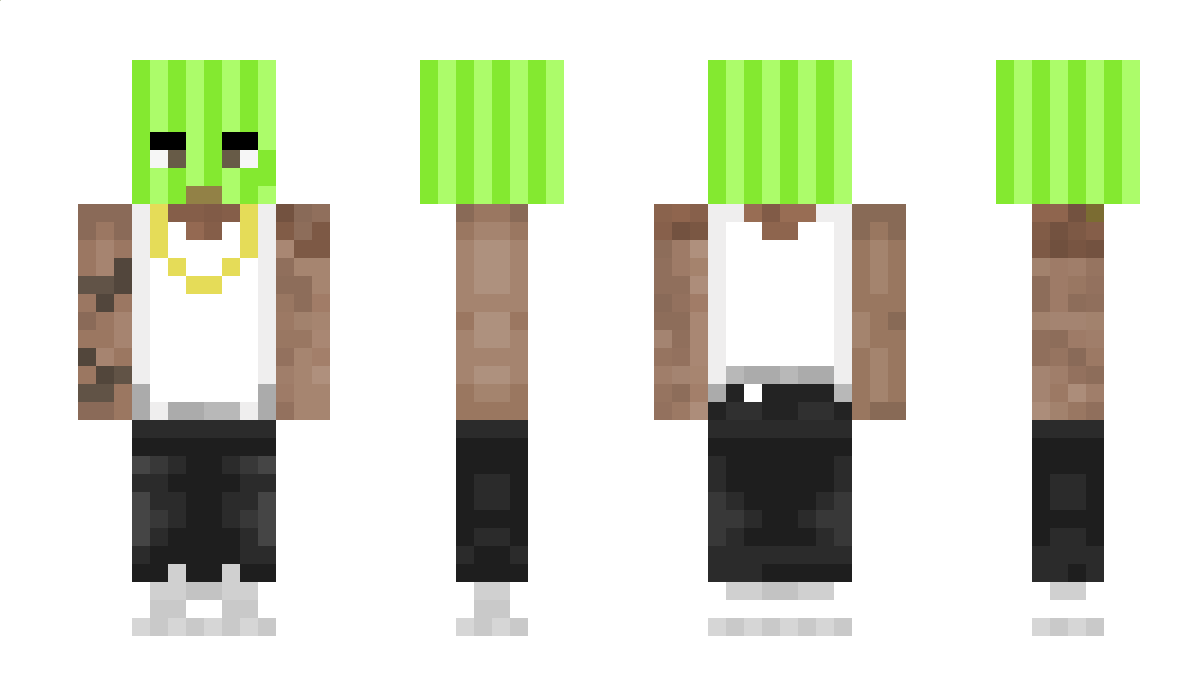 vicentezin Minecraft Skin