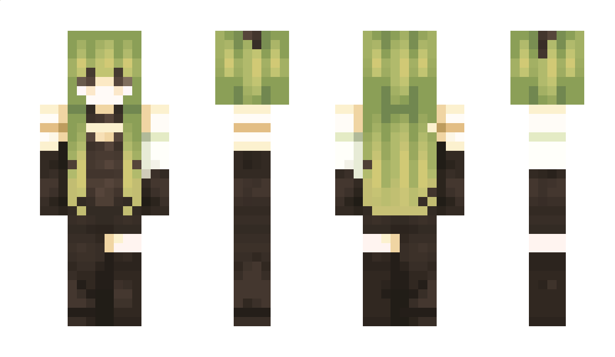 Duolingoo Minecraft Skin