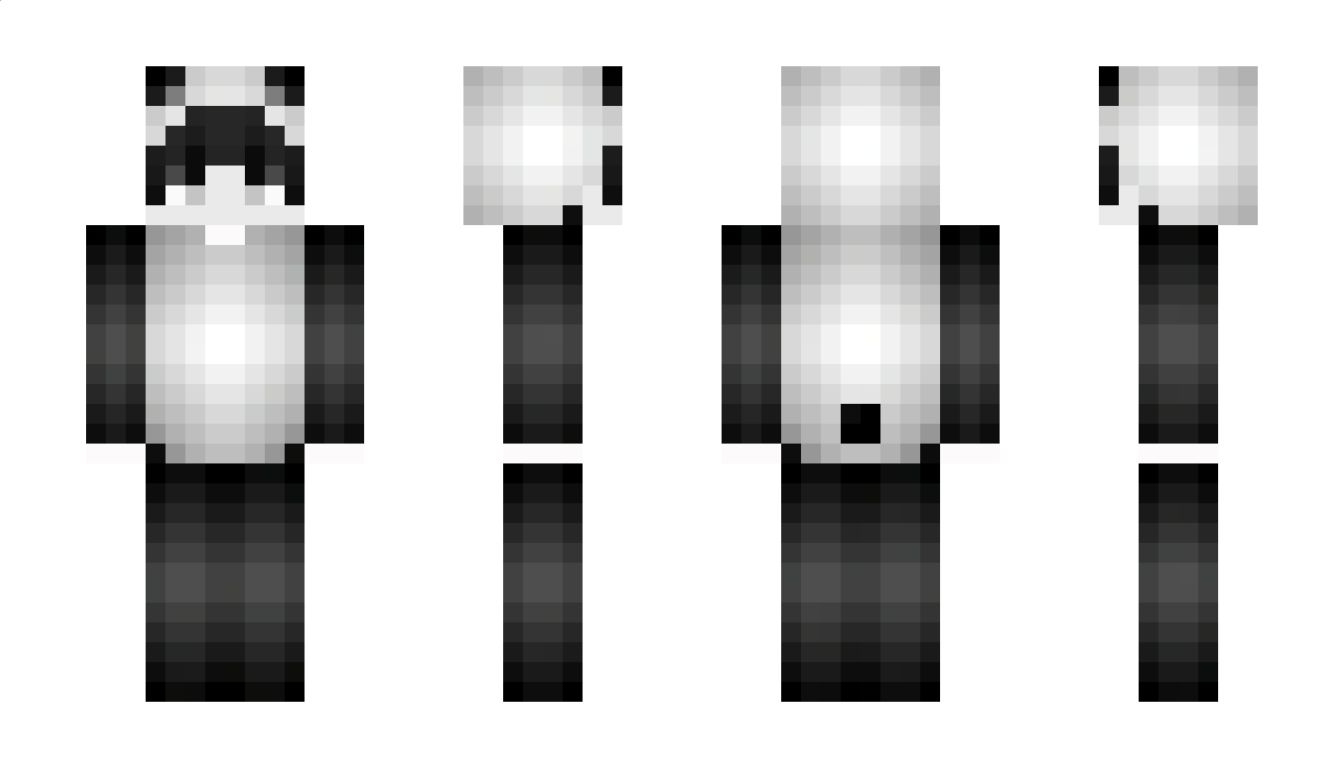 endermen53 Minecraft Skin