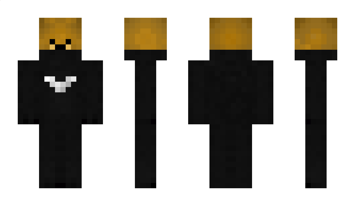 347 Minecraft Skin