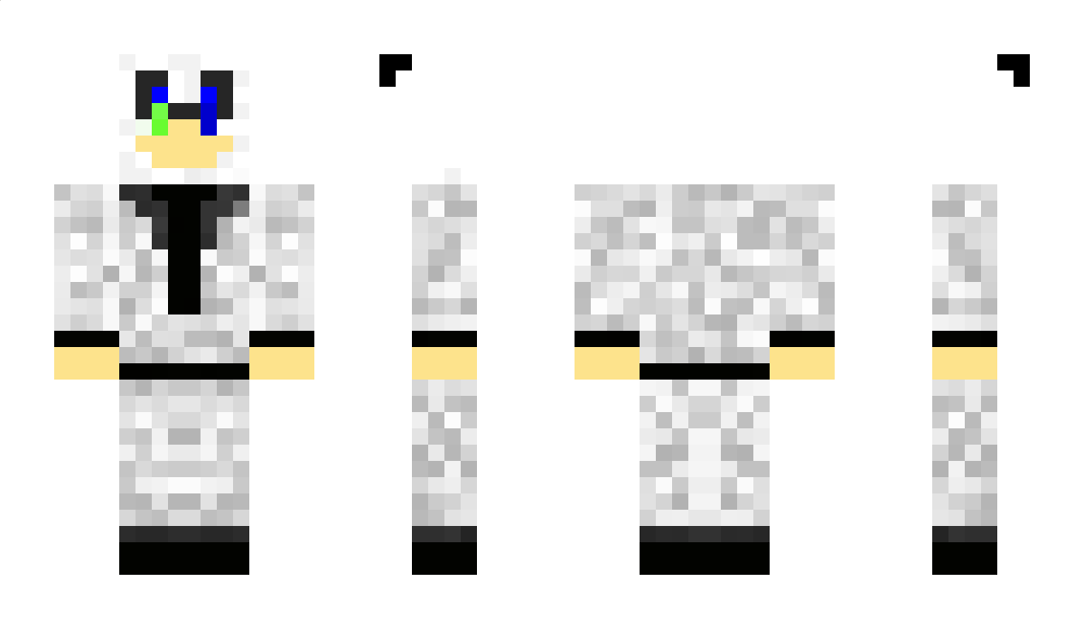 DingusSGA Minecraft Skin