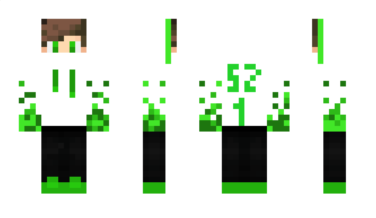 briefervoice Minecraft Skin