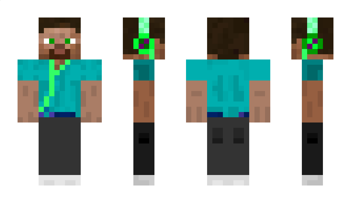 MallardDuck Minecraft Skin