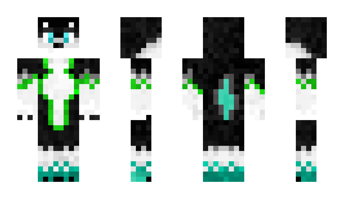 Volwash Minecraft Skin