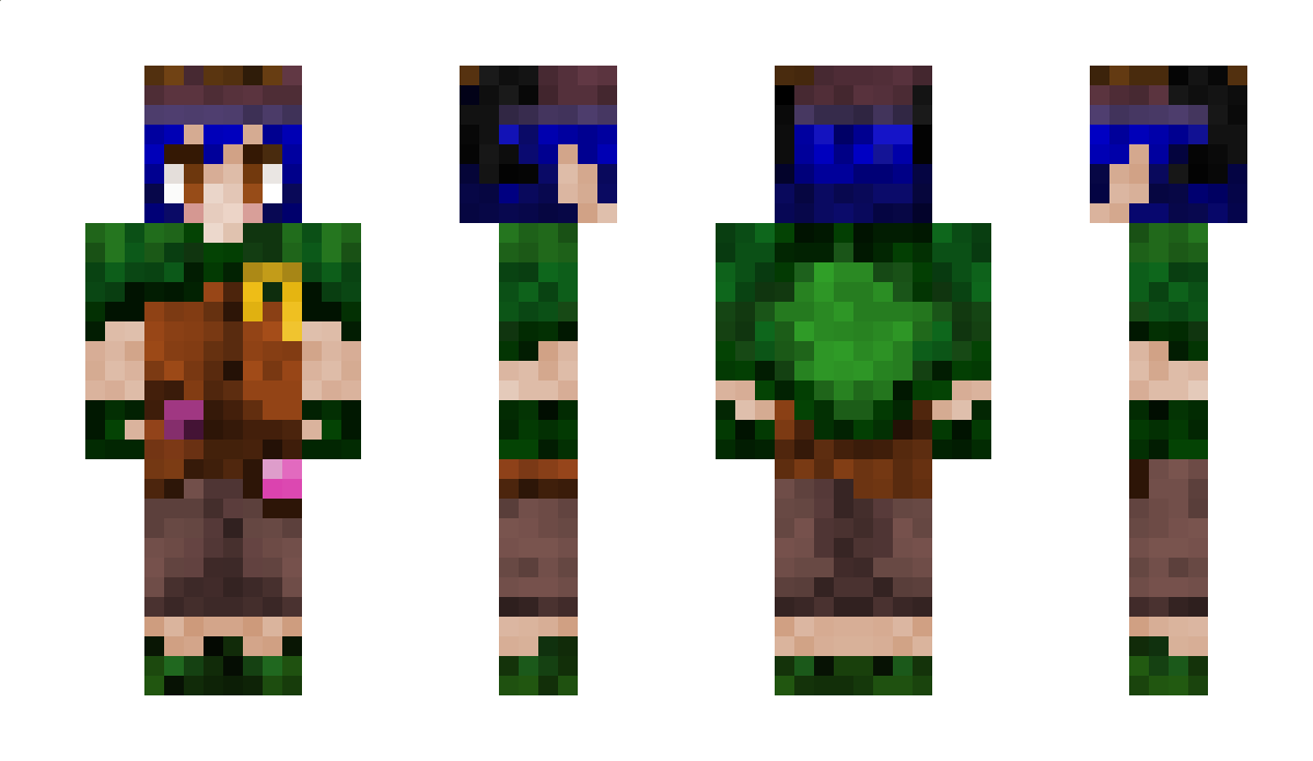 liz_hoshi Minecraft Skin