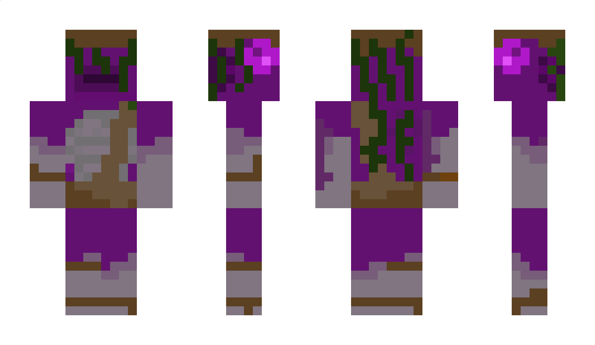 Leshi57 Minecraft Skin