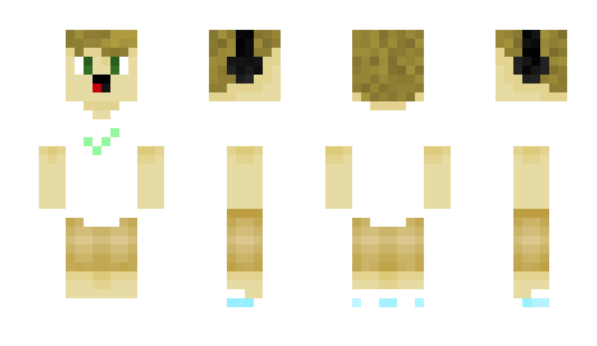 DerPauleGamer Minecraft Skin