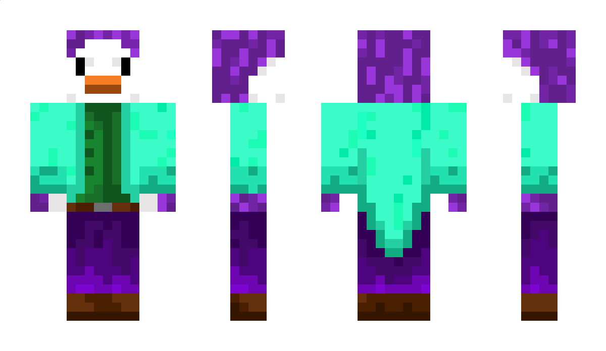 PenguinChangas Minecraft Skin