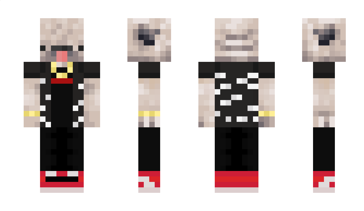 ASTRONAUT_BINGO Minecraft Skin