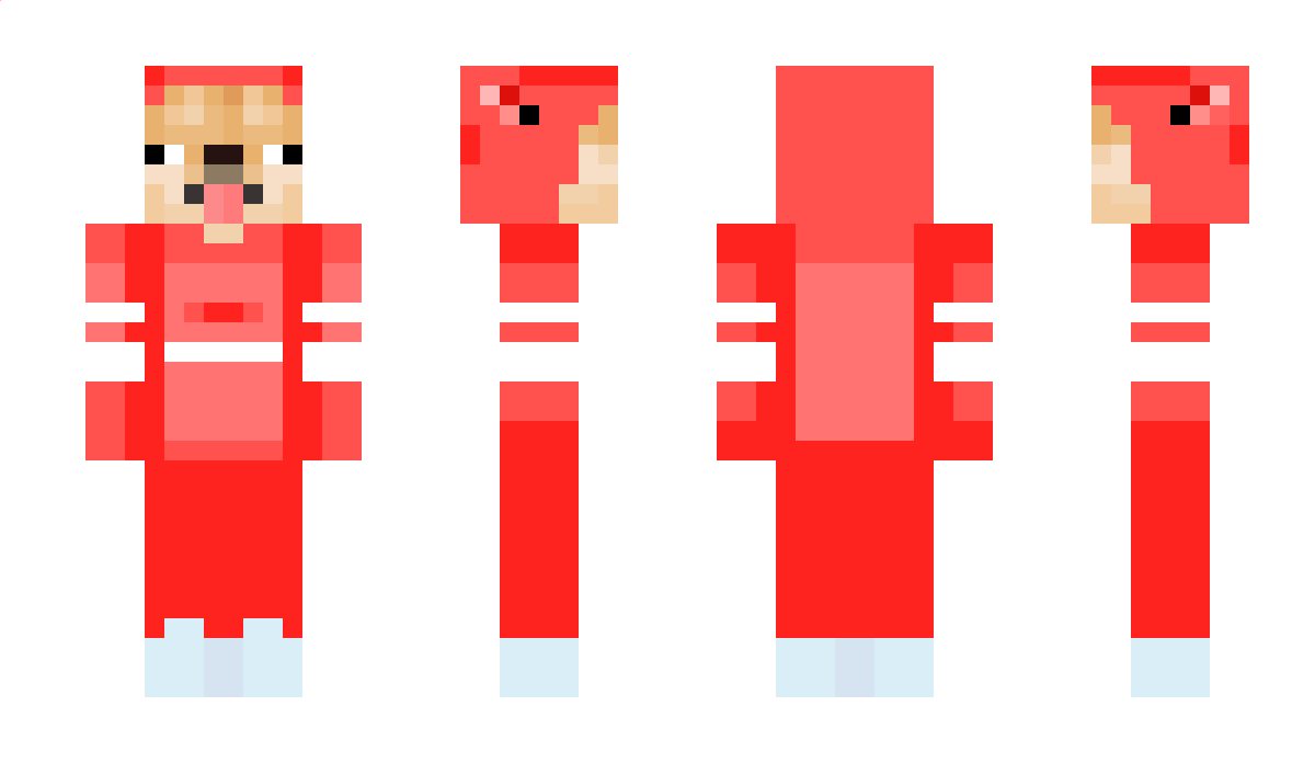 DakoMC Minecraft Skin