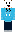 TomekRC Minecraft Skin