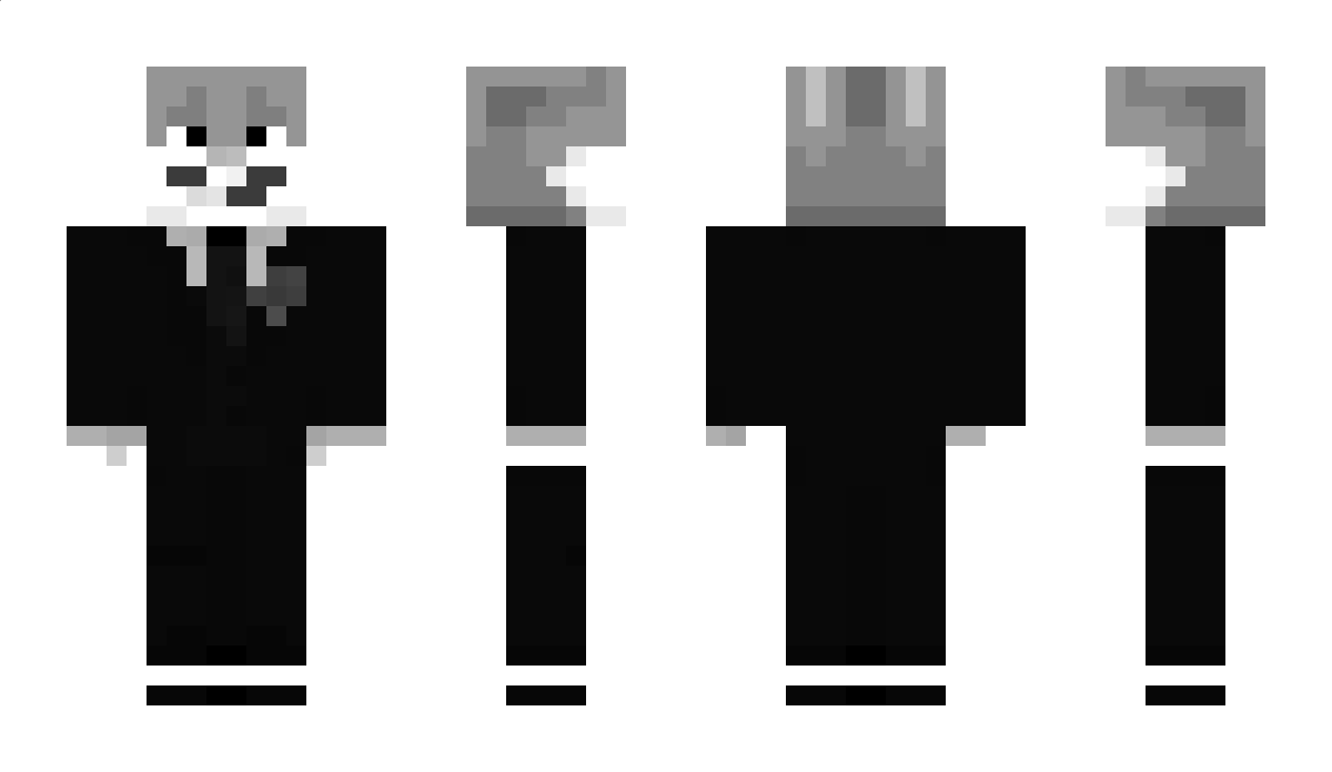 Pasfn Minecraft Skin