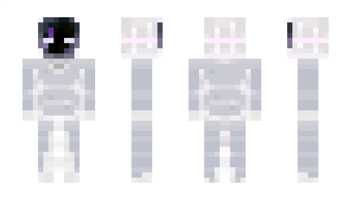 ReversePolish Minecraft Skin