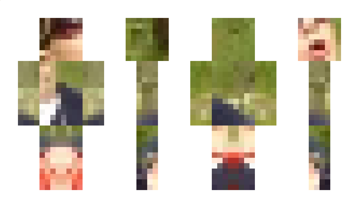 2221 Minecraft Skin