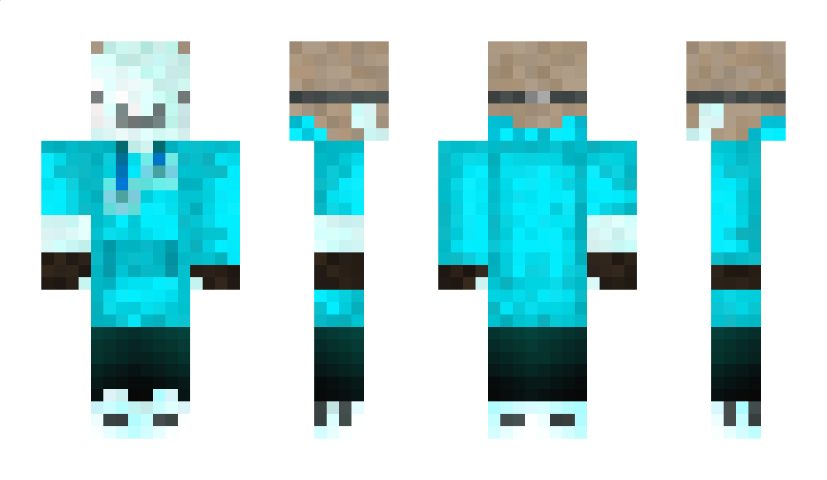 adi6910 Minecraft Skin