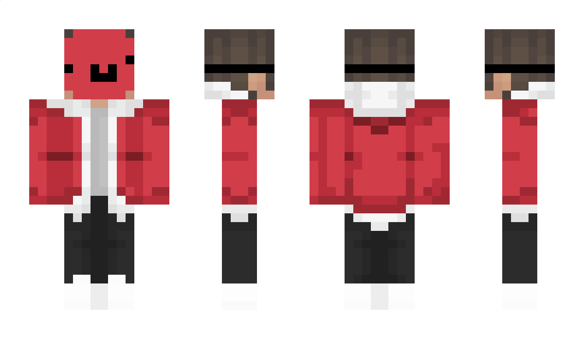 sliwa0312 Minecraft Skin