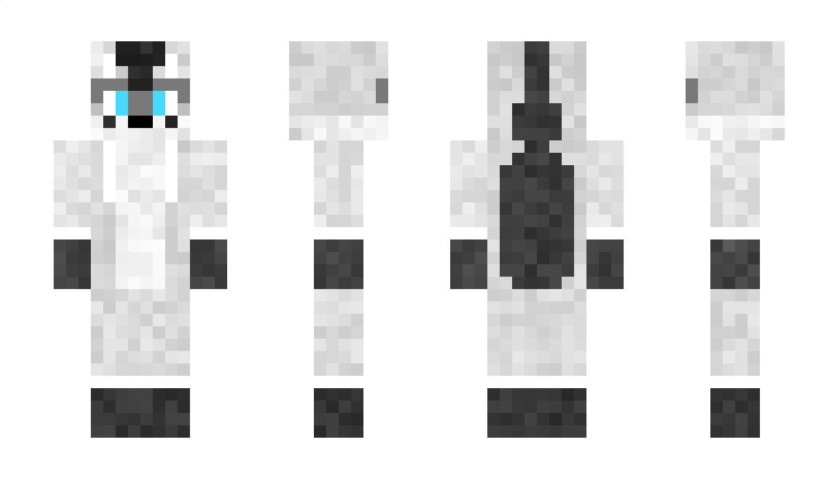 AssertedMetal5 Minecraft Skin