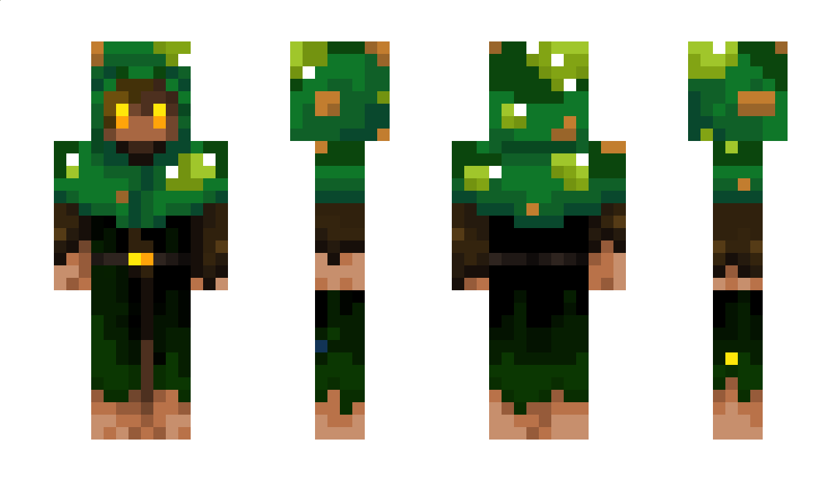 MysticDruidLord Minecraft Skin