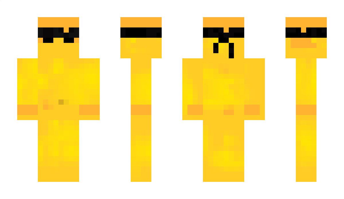 _Niedzwi3dz_ Minecraft Skin