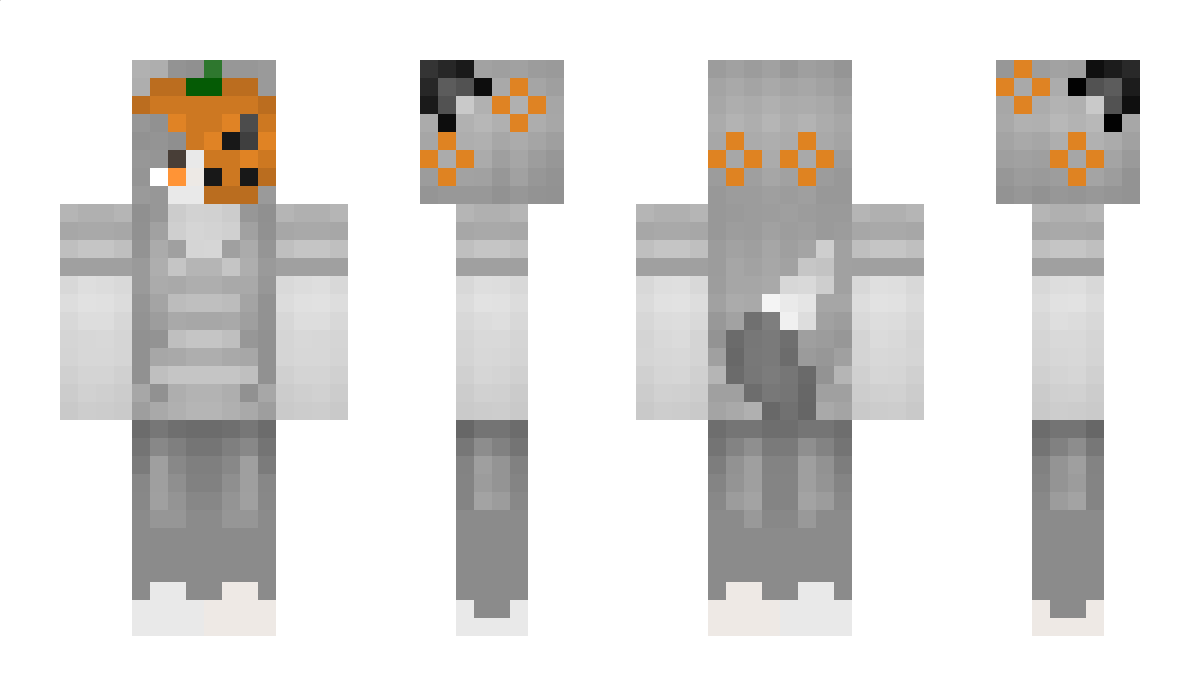 Foxxx Minecraft Skin