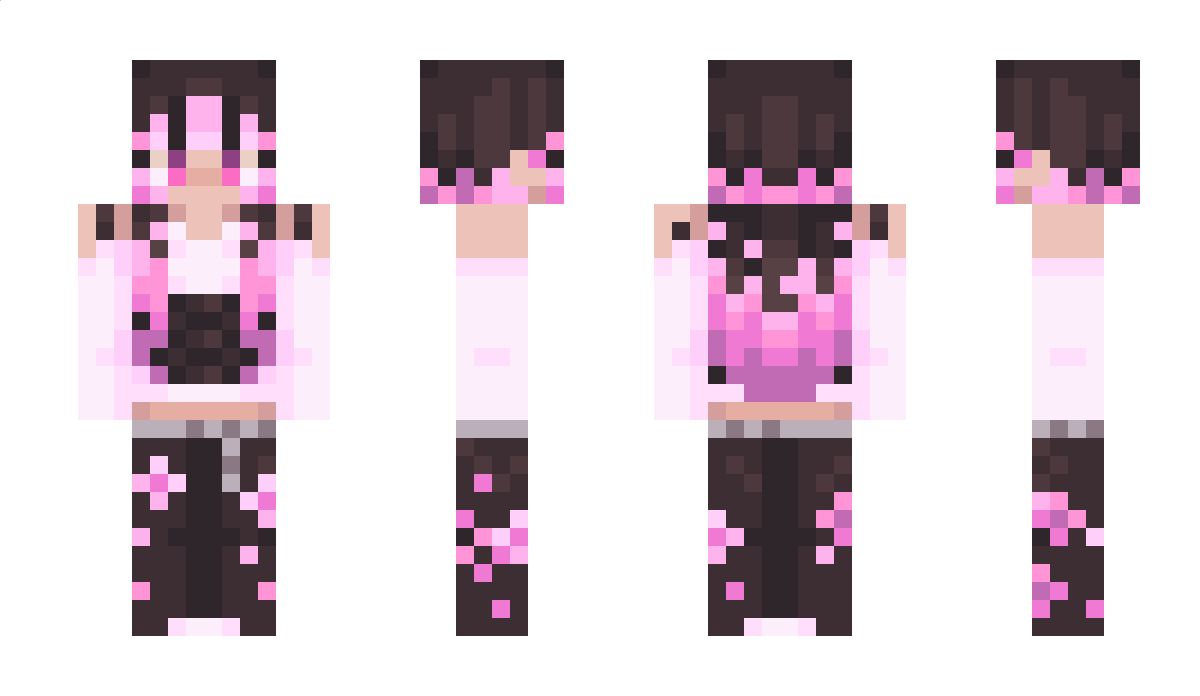 PilotParadigm Minecraft Skin