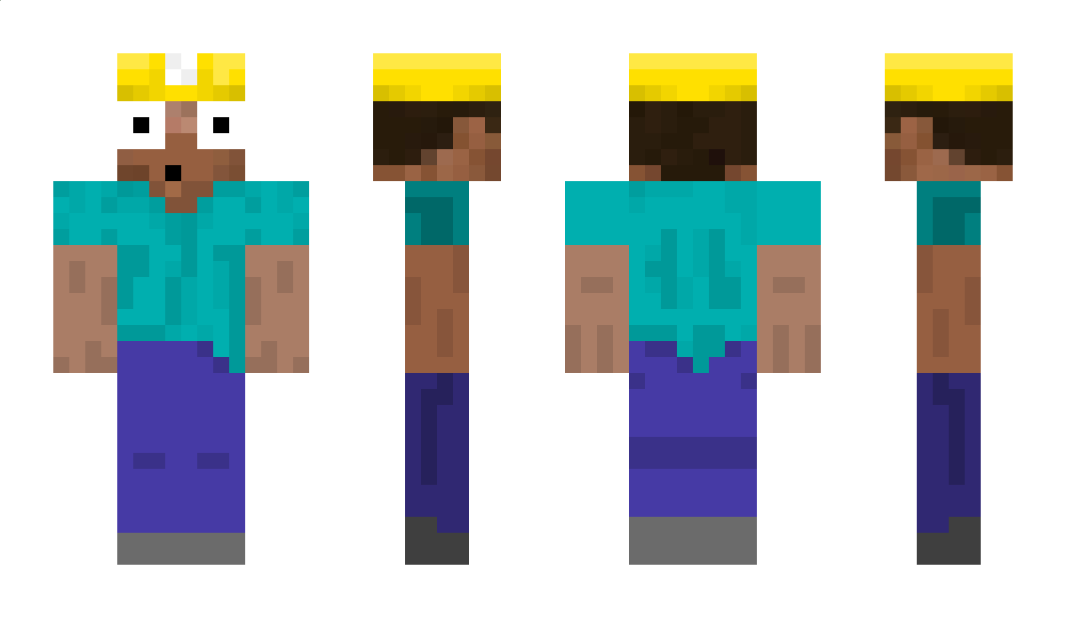 Blom Minecraft Skin