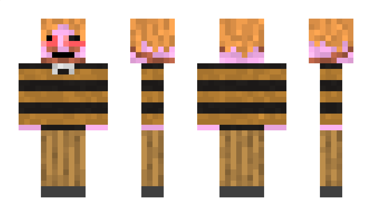 DumJunk Minecraft Skin