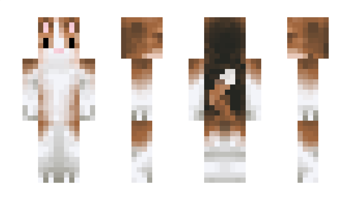 HamterDev Minecraft Skin