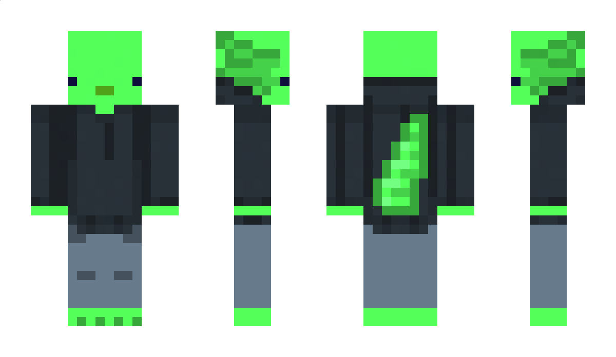 Squidoodle44 Minecraft Skin