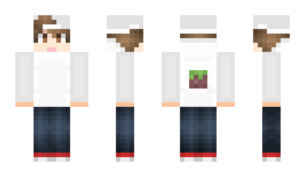 17173 Minecraft Skin