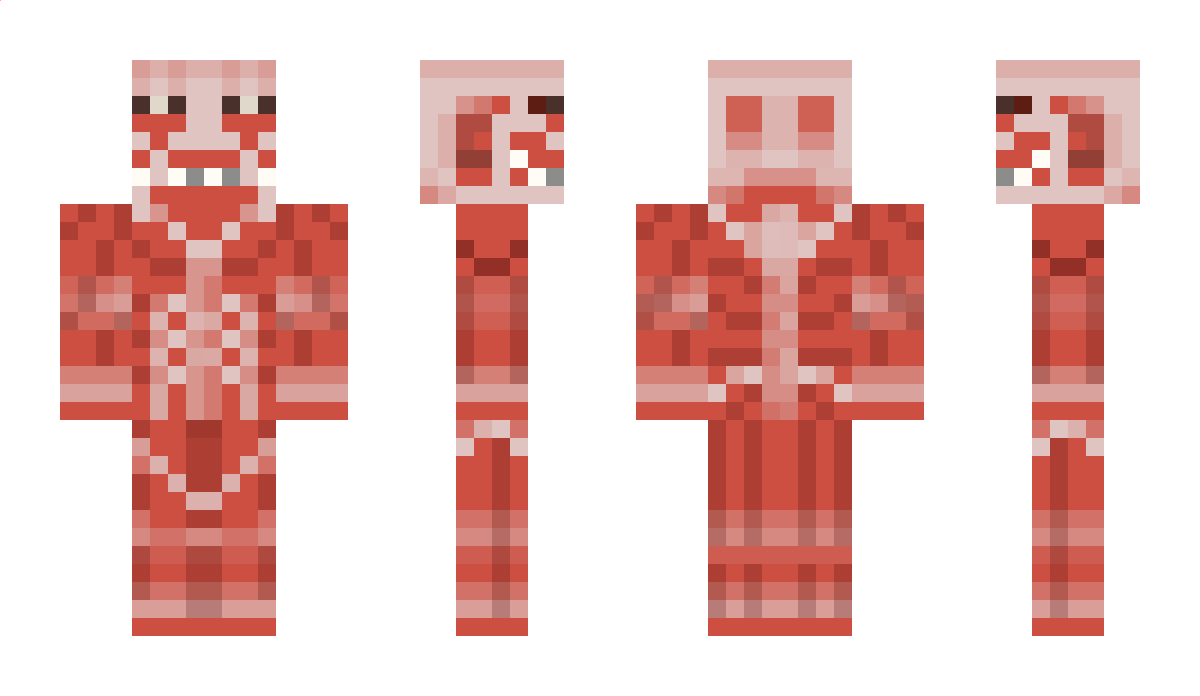 pochi Minecraft Skin