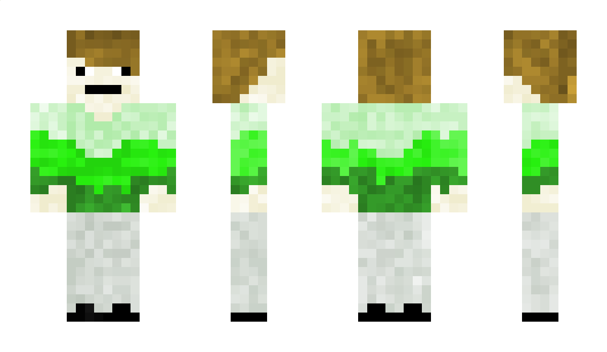 DragonNitro Minecraft Skin