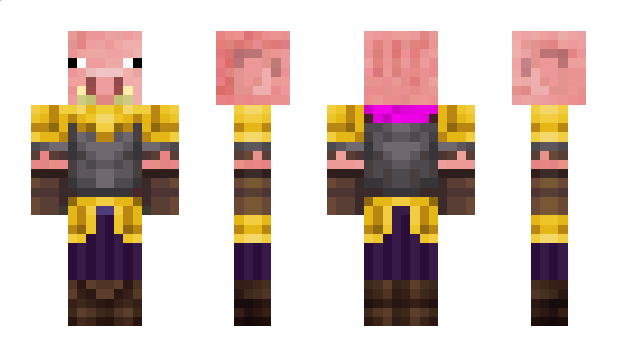 pigman560 Minecraft Skin