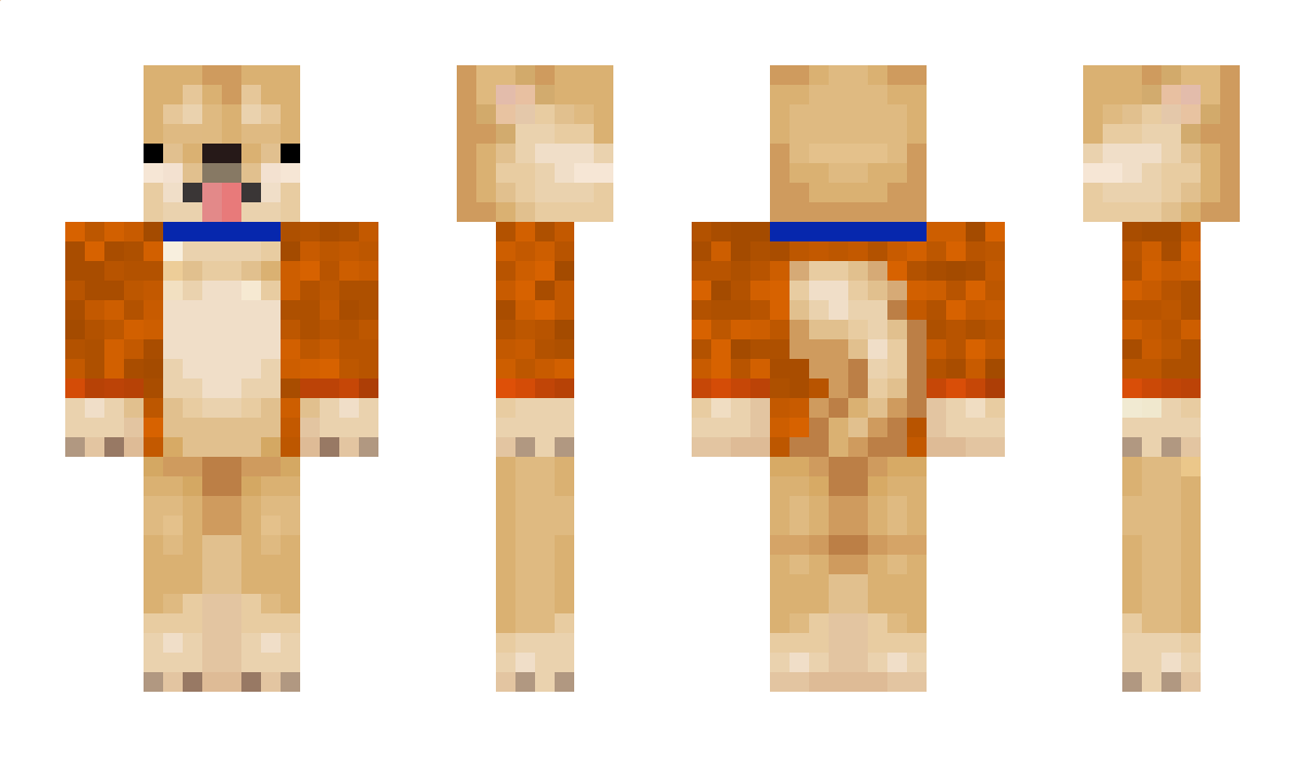 sillydogg777 Minecraft Skin