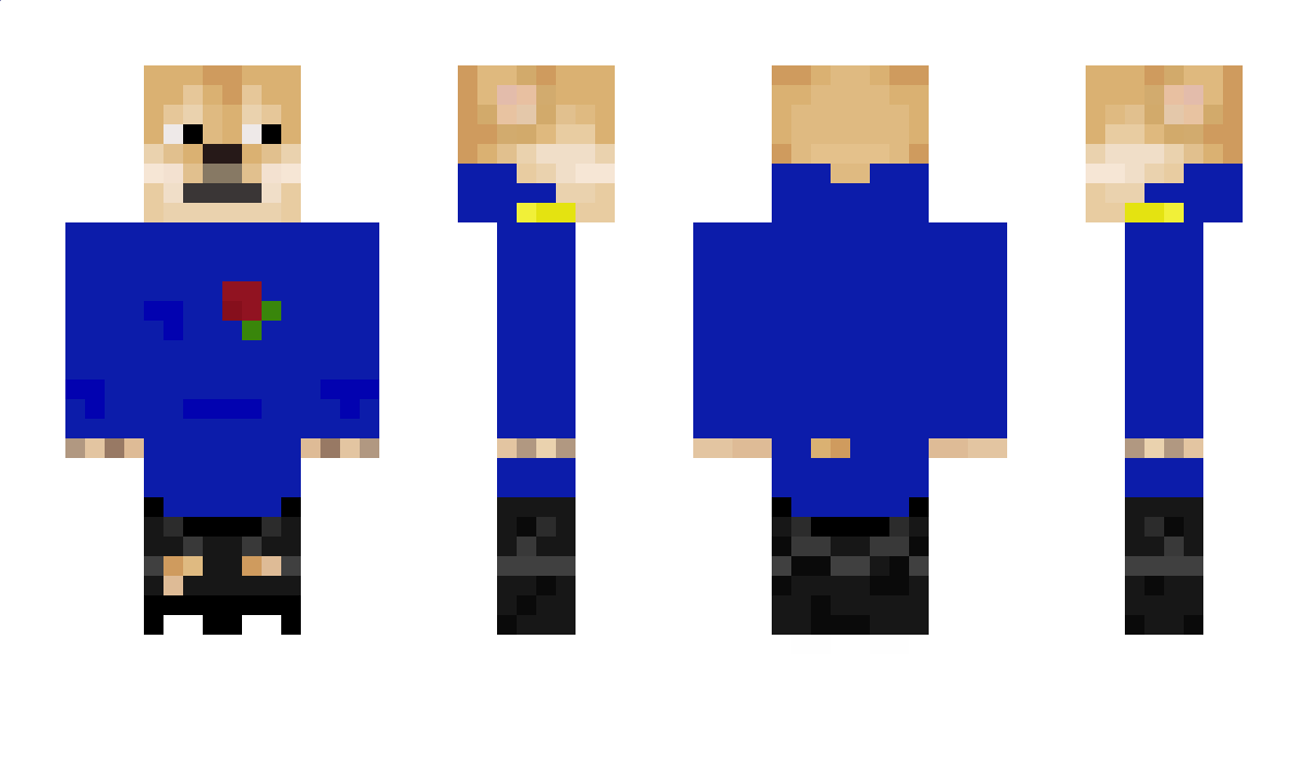 Tobiasz1 Minecraft Skin